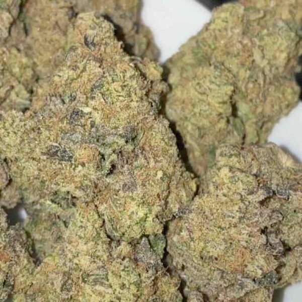 Dark Knight Indica