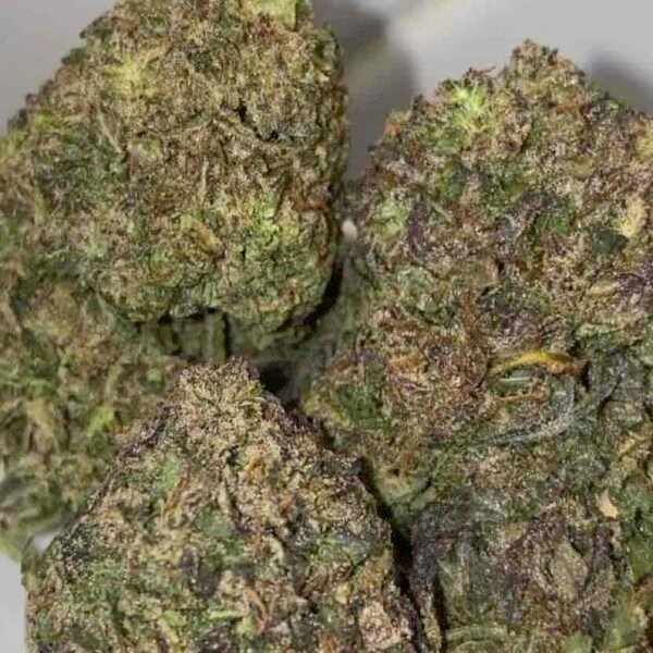 Monkey Breath Indica