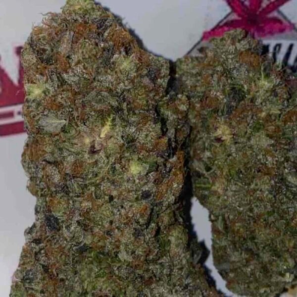 Pink Couch Lock Indica