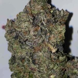 Pink Rozay Pink Rozay Indica