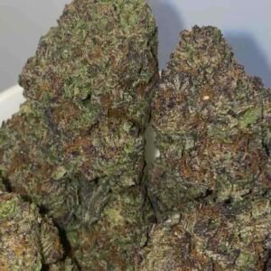 Purple Gas Purple Gas Indica