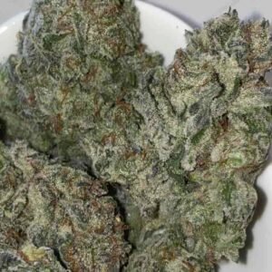 Toad Venom Toad Venom Indica