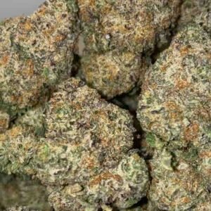 DOSI GELATO