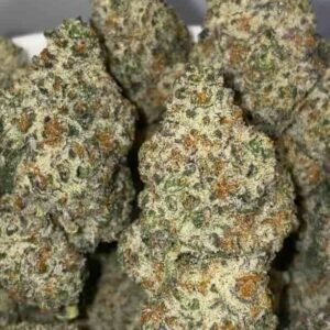 PINK FROSTY
