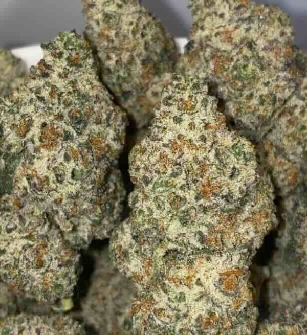PINK FROSTY