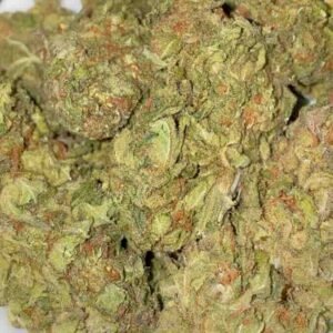 PURPLE ROCKSTAR