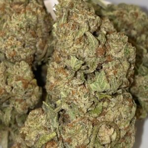 GRAND MASTER KUSH