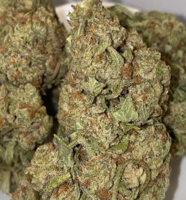 GRAND MASTER KUSH