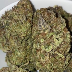SUNSET SHERBET