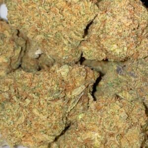 Hawaain Crush cannabis flower - LaughBuds Orangeville delivery