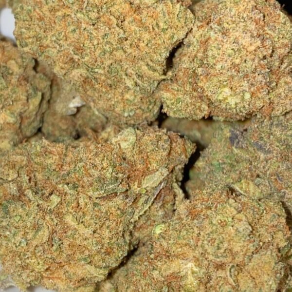 Hawaain Crush cannabis flower - LaughBuds Orangeville delivery