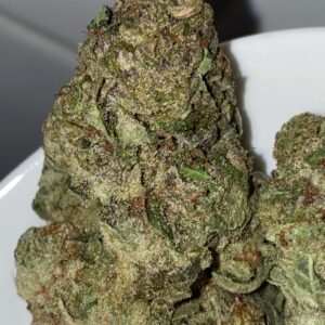 Juice Box cannabis flower - LaughBuds Orangeville delivery