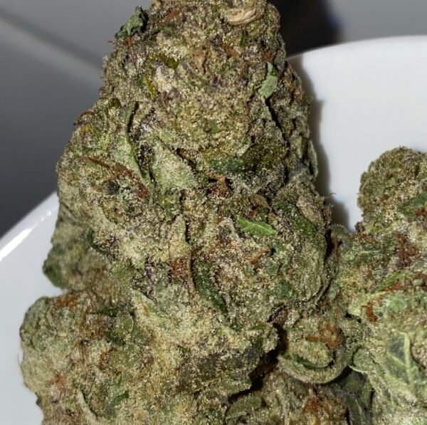 Juice Box cannabis flower - LaughBuds Orangeville delivery Juice Box cannabis flower - LaughBuds Orangeville delivery