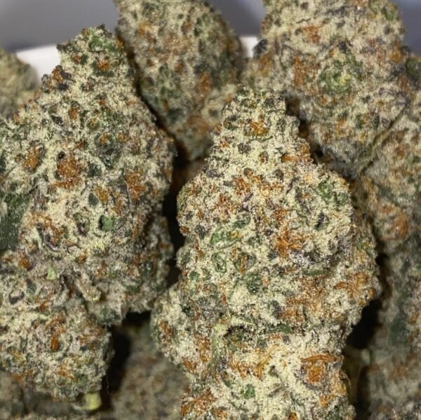 Oreo Blast cannabis flower - LaughBuds Orangeville delivery Oreo Blast cannabis flower - LaughBuds Orangeville delivery