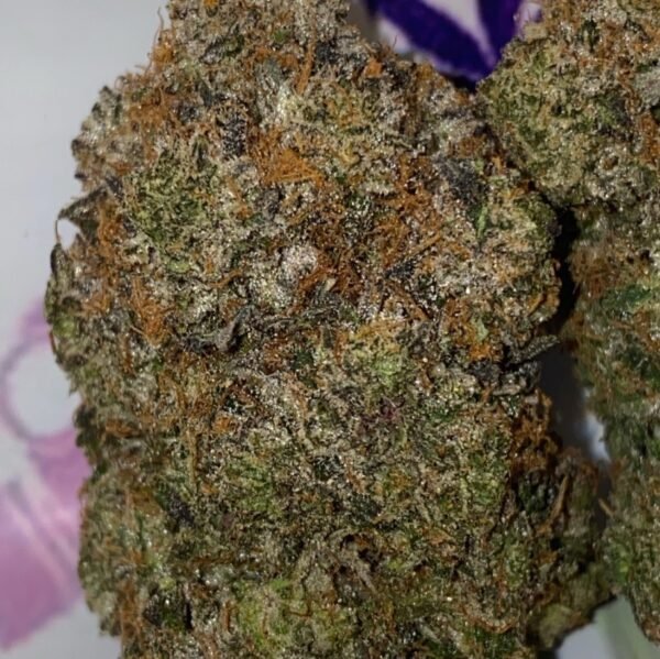 Pink Kerosene cannabis flower - LaughBuds Orangeville delivery Pink Kerosene cannabis flower - LaughBuds Orangeville delivery