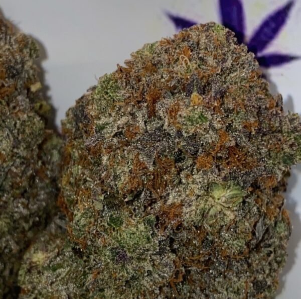 Pink Nyquil cannabis flower - LaughBuds Orangeville delivery Pink Nyquil cannabis flower - LaughBuds Orangeville delivery