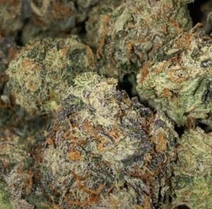 Pink Death Popcorn cannabis flower - LaughBuds Orangeville delivery