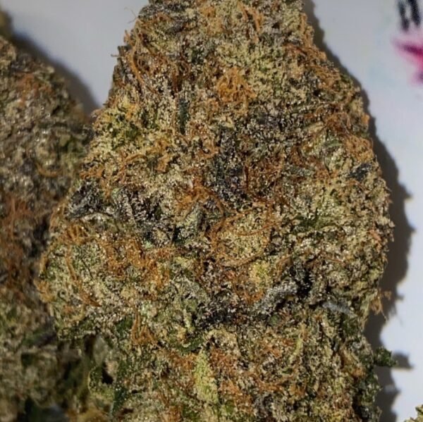 Astro Pink